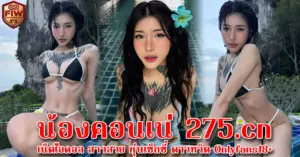 น้องคอนเน่ 275.cn